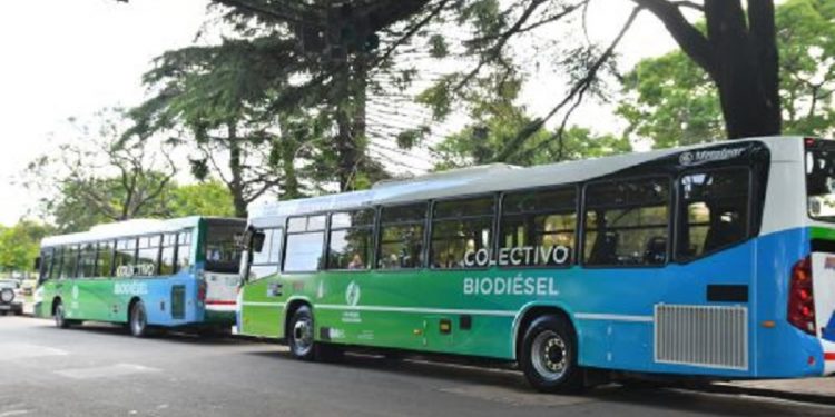 Prueban colectivos a GNC