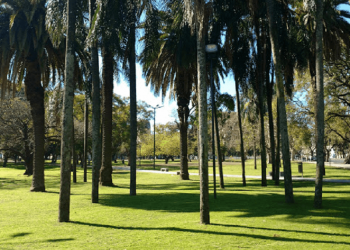 Amparo para que el gobierno porteño no edifique sobre 6.000 m2 del Parque España