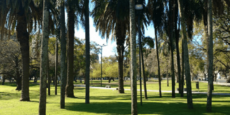 Amparo para que el gobierno porteño no edifique sobre 6.000 m2 del Parque España