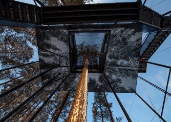 Bienal de Buenos Aires: ¿A quién le importa la arquitectura?