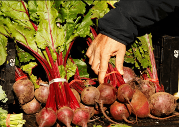 Alimentos orgánicos: crece la demanda y sube la producción