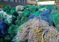 Ciudades 2030: Reciclado de redes de pesca en desuso en Mar del Plata