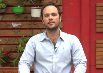 El arbolado urbano de la ciudad de Mar del Plata – Entrevista a Nicolás Antoniucci