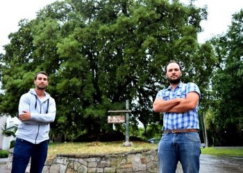 Reclaman cuidados y control para el arbolado urbano marplatense