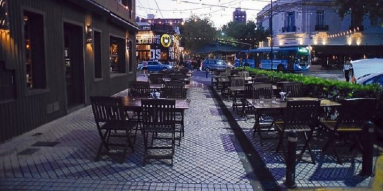 Vecinos denuncian tala de árboles en barrio Pichincha