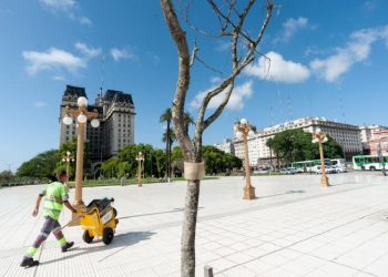 Paseo del Bajo: un tercio de los nuevos árboles están secos