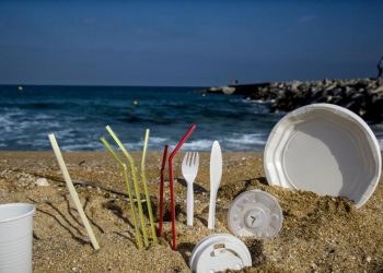 Foro Costero Ambiental: “Los balnearios aún siguen brindando elementos descartables”