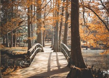 La renaturalización de las ciudades es una obligación