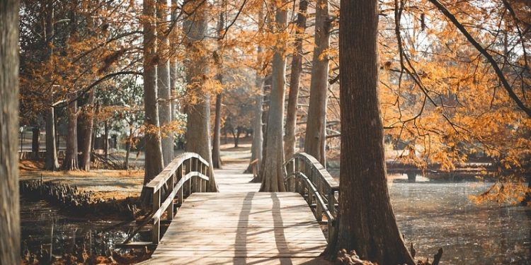 La renaturalización de las ciudades es una obligación