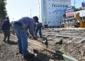 Una obra en las vías del cruce Alberdi reaviva un viejo proyecto
