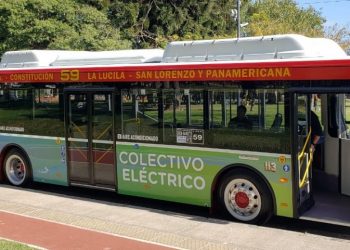 El gobierno trabaja en un plan para cambiar los colectivos urbanos por unidades eléctricas