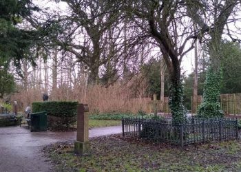 ¿Hay realmente una falta de espacio público?