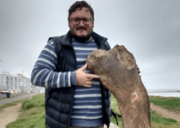 El patrimonio paleontológico de Mar del Plata – Entrevista a Matías Taglioretti