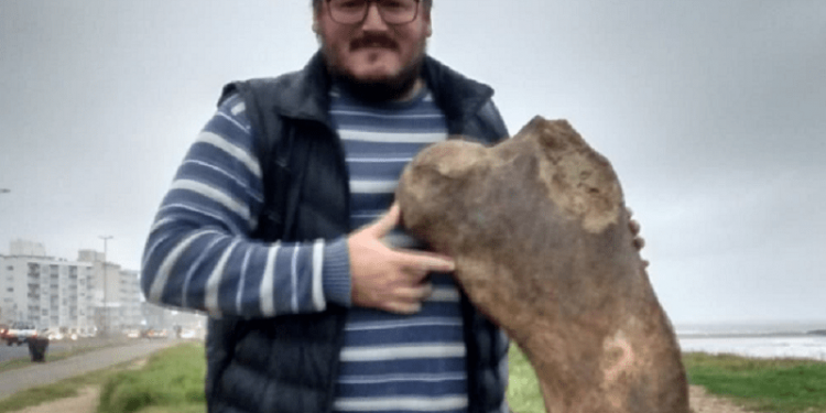 El patrimonio paleontológico de Mar del Plata – Entrevista a Matías Taglioretti