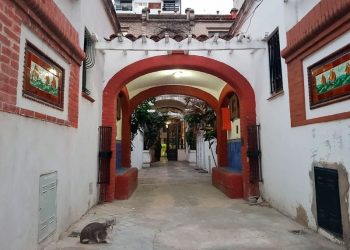 Rosario tiene un rincón mágico: el pasaje de la Unión Gremial atraviesa una manzana y su historia