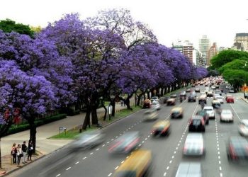 Monitorearán la infraestructura verde porteña