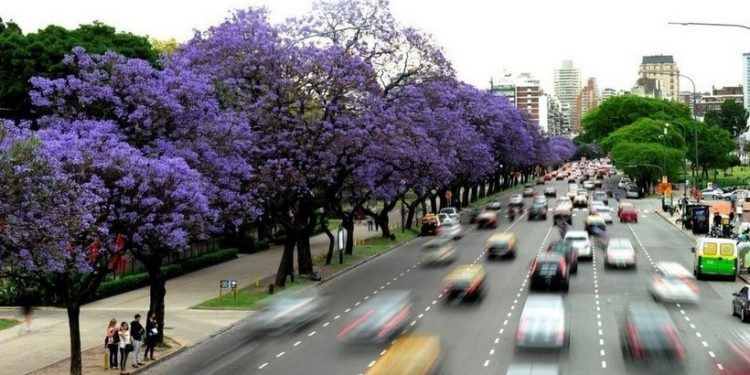 Monitorearán la infraestructura verde porteña