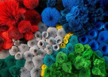 Gaspar Libedinsky, el Aladino de los objetos: cumplir el deseo de una vida más verdadera