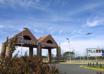 En la Ciudad hablan de “parques” pero nos quitan el verde