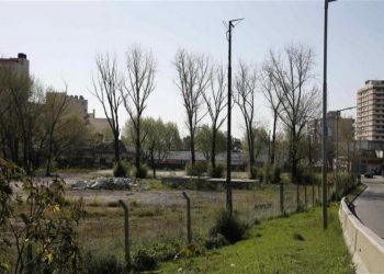 Organizaciones ambientalistas se unen contra la venta de playones ferroviarios