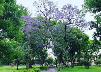 “Hay que reforzar una mirada antropológica de los centros urbanos”