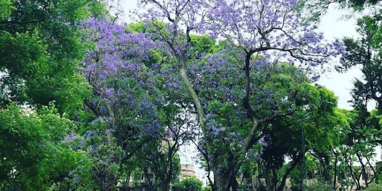 “Hay que reforzar una mirada antropológica de los centros urbanos”