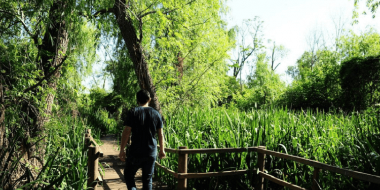De basural a pulmón verde: la transformación del relleno sanitario de Villa Domínico