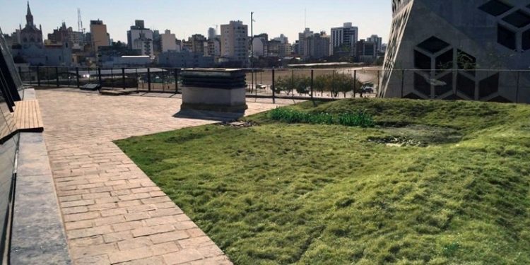 Cómo se hace y cuánto cuesta tener un jardín en la terraza