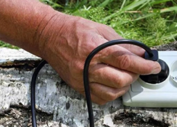 Crean un revolucionario enchufe que toma electricidad de las plantas