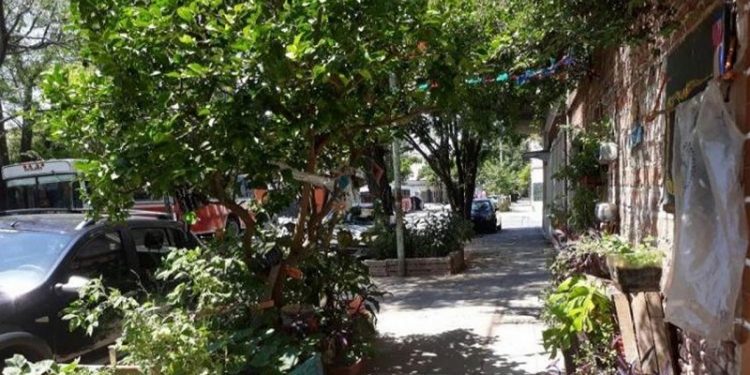 Huertas urbanas: el crecimiento de la agroecología en la Ciudad