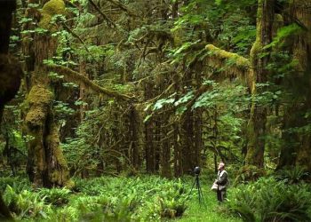La cruzada por salvar el silencio, el “sonido” más amenazado del mundo