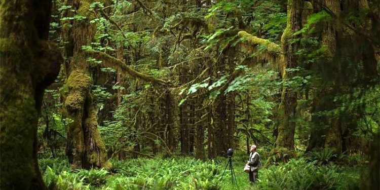 La cruzada por salvar el silencio, el “sonido” más amenazado del mundo