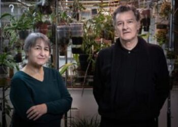 Lacaton y Vassal ganan el premio Pritzker