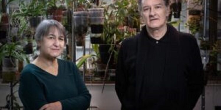 Lacaton y Vassal ganan el premio Pritzker