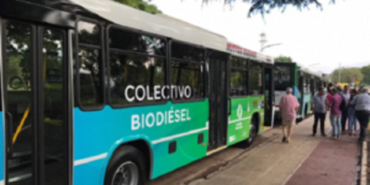 Colectivos ecológicos: por qué dejaron de circular