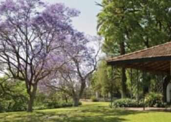 Paseos al aire libre: jardines con historia y diseño para descubrir en zona Norte