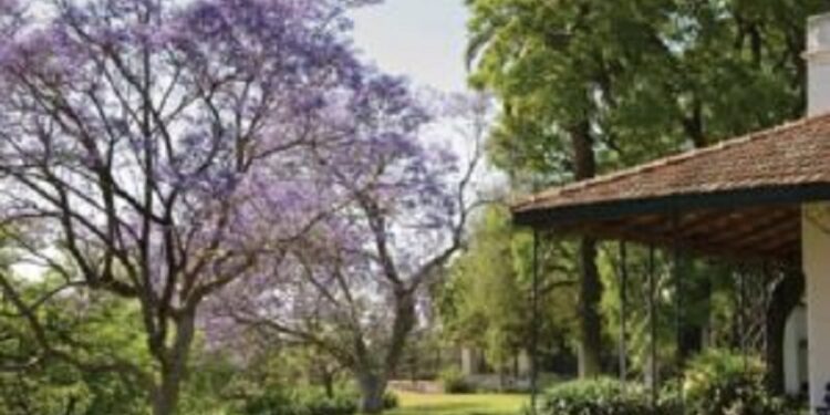 Paseos al aire libre: jardines con historia y diseño para descubrir en zona Norte