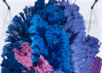 Gaspar Libedinsky: Diez obras a pelo de escobillón