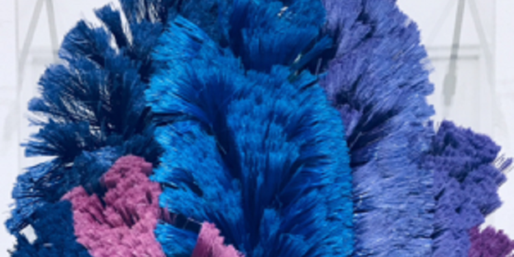 Gaspar Libedinsky: Diez obras a pelo de escobillón