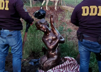 ¿Qué enseñanza nos dejó el caso de la “Sirena” en Mar del Plata?