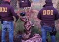 Hallan la escultura robada y descubren otras obras de alto valor patrimonial