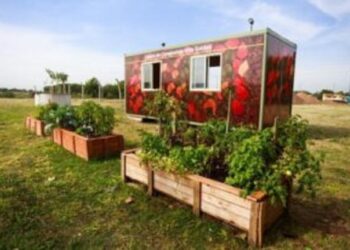 En el Mes del Compostaje la Ciudad ofrece alternativas para compostar