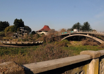 La Ciudad, una de las peores en espacios verdes por habitante
