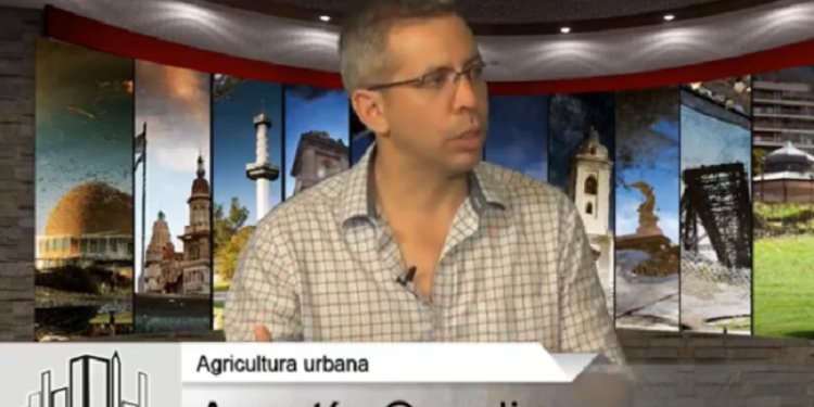 Los secretos de la hidroponía – Entrevista a Agustín Casalins