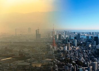 ¿Qué es la descarbonización? Metas y procesos