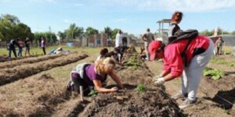 Qué objetivos tiene el proyecto de ley de Educación Ambiental que aprobó Diputados