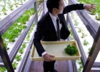 Japón se vuelca a la producción vertical de alimentos