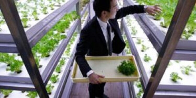 Japón se vuelca a la producción vertical de alimentos