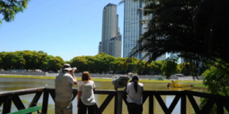 De vertedero de escombros a un oasis de biodiversidad: la Reserva Ecológica Costanera Sur cumple 35 años