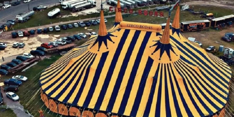 Definen el proyecto para “refuncionalizar” el predio de la Manzana de los Circos